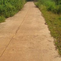 Bán 22500M2 Đất Cây Lâu Năm Bảo Quang Tp Long Khánh Đồng Nai Giá 600 Triệu/ Sào, Liên Hệ: 0937147501