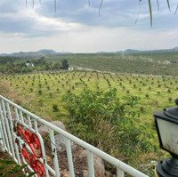 Bán 2Ha Đất Nghỉ Dưỡng Hàng Gòn Tp Long Khánh Đồng Nai Liên Hệ: 0937147501