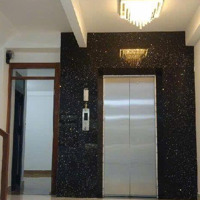 Tân Bình - Chdv 5 Tầng Mớidiện Tích(5.5X22) - Chỉ 16.3 Tỷ