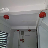 Nhà Căn Hộ Dịch Vụ - Gà Đẻ Trứng Vàng
