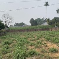 Bán Đất Vân Hoà - Ba Vì: Không Gian Sống Đẳng Cấp.
Cơ Hội Hấp Dẫn Giá Rẻ