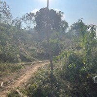Chủ Bán 5000M 400M Thổ Cư Bám Hồ Tay Chạm Nước, Gần Kdl Bản Ngòi Tân Lạc Hoà Bình 3,Xtỷ, 0969065802