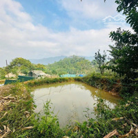 Cần Bán 1,2Ha, 240M2 Thổ Cư Bám Đường, Sẵn Ao Cây Ăn Trái, Đà Bắc Hoà Bình, 5Xx Triệu, 0969065802