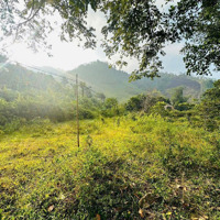 Cần Bán 1,2Ha, 240M2 Thổ Cư Bám Đường, Sẵn Ao Cây Ăn Trái, Đà Bắc Hoà Bình, 5Xx Triệu, 0969065802
