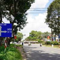 Đất Thổ Cư Vị Trí Đẹp Bán Nhanh Giá Tốt Chỉ 919 Triệu Có Đất Ngay Bàu Bàng