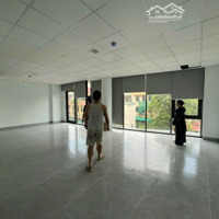 Cho Thuê Văn Phòng Văn Quán, Diện Tích 80 M2/Tầng, Sàn Thông Mới Đẹp