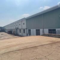 Nhà xưởng tổng dt 119000m2  phường Uyên Hưng,  xã Tân Uyên, Bình Dương giá 450 tỷ