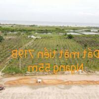 CHÍNH CHỦ CẦN BÁN GẤP LÔ ĐẤT MT ĐƯỜNG 719B XÃ TÂN THÀNH, HÀM THUẬN NAM, BÌNH THUẬN