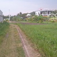 Cho Thuê Đất Nông Nghiệp 5,000M2 Tại Củ Chi, Tp.hcm