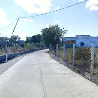 Chỉ Vài Trăm Triệu - Đi Bộ Tắm Biển Hàng Ngày