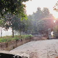 Giá Cực Rẻ Cho Lô Đất Đẹp Sẵn Nhà,Wc Khép Kín,View Cánh Đồng,Đường Tỉnh Lộ Tại Thuỵ An,Ba Vì,Hà Nội