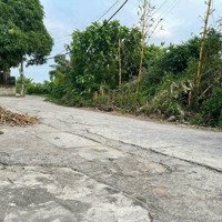 Cơ Hội Đầu Tư Vàng Đất Đẹp Nguyên Khê, Đông Anh