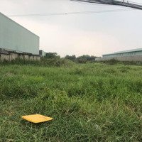 Cần Bán 2200M2 Đất Lúa Thuộc Ql 62 Tân Đông, Thạnh Hóa, Long An