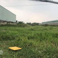 Cần Bán 2200M2 Đất Lúa Thuộc Ql 62 Tân Đông, Thạnh Hóa, Long An