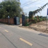 Ngân Hàng Thanh Lý Lô Đất Mặt Tiền Đường Vĩnh Tân 13, Ngay Kcn Vsip2, Giá Chỉ 4. 5 Triệu/M2