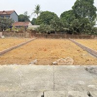 Bán Đất Tổ Dân Phố 11 Thị Trấn Quang Minh, Mê Linh, Hà Nội
