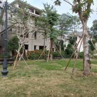 1 Cặp Song Lập 180M2 Cạnh Công Viên. Tổng 360M2. Lh Hoàng Đạo 098 299 6565