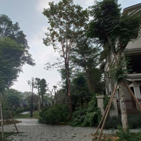 1 Cặp Song Lập 180M2 Cạnh Công Viên. Tổng 360M2. Lh Hoàng Đạo 098 299 6565