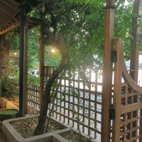 Cho Thuê Nhà Mặt Tiền Đường Hàn Mặc Tử, View Sông Như Ý, Sông Hương