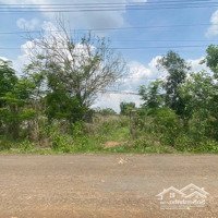 Ngân Hàng Thanh Lý 2 Lô Đất Mặt Tiền Đường Nhựa 6M Tại Xã Tân Hưng, Đồng Phú, Bình Phước