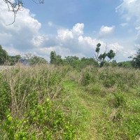 Ngân Hàng Thanh Lý 2 Lô Đất Mặt Tiền Đường Nhựa 6M Tại Xã Tân Hưng, Đồng Phú, Bình Phước
