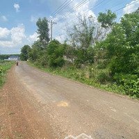 Ngân Hàng Thanh Lý 2 Lô Đất Mặt Tiền Đường Nhựa 6M Tại Xã Tân Hưng, Đồng Phú, Bình Phước