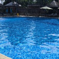 Hàng Hiếm 6,2 Tỷ,Diện Tích100M2 Mặt Tiền Thích Quảng Đức, Phước Hải, Nha Trang, Khánh Hoà