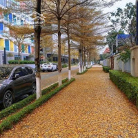 Cho Thuê Shophouse Giá Rẻ Hà Đông, Hà Nội, Có Thang Máy