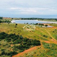 Chính Chủ Bán 2000M2 Gần Đường Ống Rạng Đông 250M, Phan Rí Thành - Bắc Bình, Bình Thuận