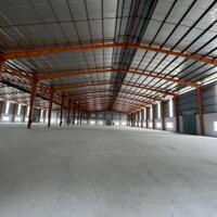 Cho thuê kho xưởng sản xuất nhiều ngành nghề khu công nghiệp Tiền Giang.