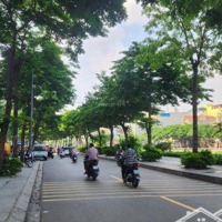 Cho Thuê Nhà Mặt Phố Vũ Tông Phan. Diện Tích: 65M2X7 Tầng. Mt: 11M