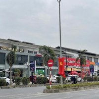 Liền Kề Vip 150M2 Quang Minh City Giáp Công Viên Giá Chỉ Hơn 5 Tỷ