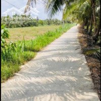 Bán Nền Đất Xây Nhà Vườn 600M2, Mặt Đường 3M, Giá Bán 1.59 Tỷ Ấp 4, Xã Tam Hiệp, Châu Thành, Tiền Giang