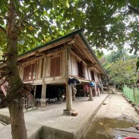 Lô Đất 3000 M2 Sẵn Nhà Sàn Lại View Hồ Đẹp Nhất Hồ Hòa Bình Luôn
- Thổ Cư 300 M2