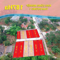 Đất Nền Giá Rẻ Dưới 1Tỷ -Nằm Ngay Sát Kcn Tam Dương-Sẵn Sàng Sang Tên Sổ Đỏ
