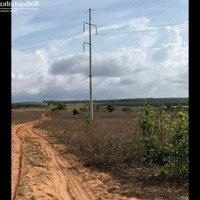 Chính Chủ Bán 8000M2 Đất Cách Biển Hòa Thắng 3Km, H. Bắc Bình. Xe Chạy Tận Nơi. Chỉ 1Ty7