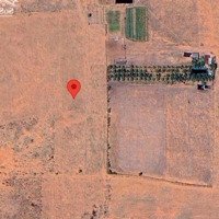 Chính Chủ Bán 8000M2 Đất Cách Biển Hòa Thắng 3Km, H. Bắc Bình. Xe Chạy Tận Nơi. Chỉ 1Ty7