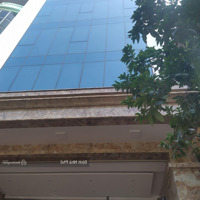 (80M2 Mặt Tiền 6M). Bán Tòa 8 Tầng Hầm Phố Trần Thái Tông - Vị Trí Đẹp Giữa Phố Đắc Địa Kd Sầm Uất
