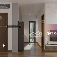 Mia Centerpoint Dự Án Ngay Trung Tâm Thành Phố Đà Nẵng Hot Nhất Thị Trường Hiện Tại