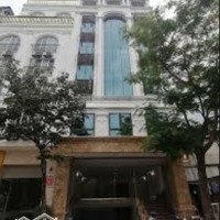 Cho Thuê Mặt Bằng Kinh Doanh Tại Tuyến Phố Văn Phòng Kinh Doanh Cực Sầm Uất Tại Quan Hoa