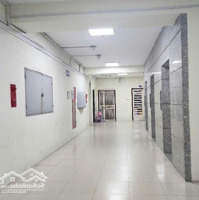 Bán Cc 3 Phòng Ngủ 2 Vệ Sinh 144M2 Ở Thụy Khuê, 8 Tỷ, Hàng Hot!