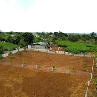 Cuối Năm Cần Tất Toán Công Nợ Xả Lỗ Ngay Lô Đất 1000M2 Sẵn 100 M2 Thổ Cư, Giá Chỉ 800 Triệu