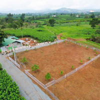 Cuối Năm Cần Tất Toán Công Nợ Xả Lỗ Ngay Lô Đất 1000M2 Sẵn 100 M2 Thổ Cư, Giá Chỉ 800 Triệu