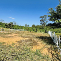 Cơ Hội Hiếm Chỉ 480 Triệu Sở Hữu Ngay 500M2 Sẵn 150Tc Mặt Tiền Âu Cơ Lộc Tân