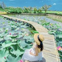 Đất Nền Đẹp Xuất Sắc Tại Thị Trấn Phước Dân, Ninh Phước, Ninh Thuận, Giá Bán 500 Triệu, 100M2