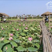 Đất Nền Đẹp Xuất Sắc Tại Thị Trấn Phước Dân, Ninh Phước, Ninh Thuận, Giá Bán 500 Triệu, 100M2