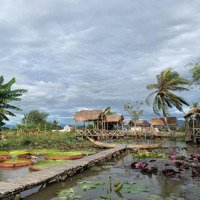 Đất Nền Đẹp Xuất Sắc Tại Thị Trấn Phước Dân, Ninh Phước, Ninh Thuận, Giá Bán 500 Triệu, 100M2