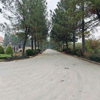 Chủ Cần Tiền Gửi Bán Gấp Đất 200M2 Biệt Thự Đồi Thông The Phoenix Garden