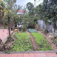 Bán Đất Đẹp Tại Thanh Lâm, Mê Linh, Hà Nội, 25 Triệu / M2, 85 M2