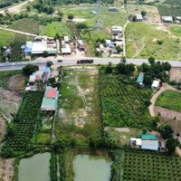 Cần Bán Đất 4,000M2 Mặt Tiền Quốc Lộ 1 Gần Nút Xuống Cao Tốc Lagi